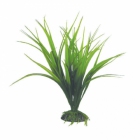 Растение "Сагиттария" зеленая, Laguna 2562 