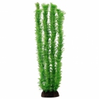 Растение "Амбулия" зеленая 50 см 