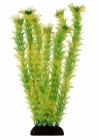 Растение  "Амбулия" жёлто-зеленая,  Laguna 5573