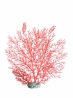 Коралл пластиковый Горгонария красная М