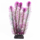 Растение "Перистолистник" фиолетовый, 30 см