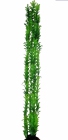 Растение пластиковое Гигрофила 70 - 150 см